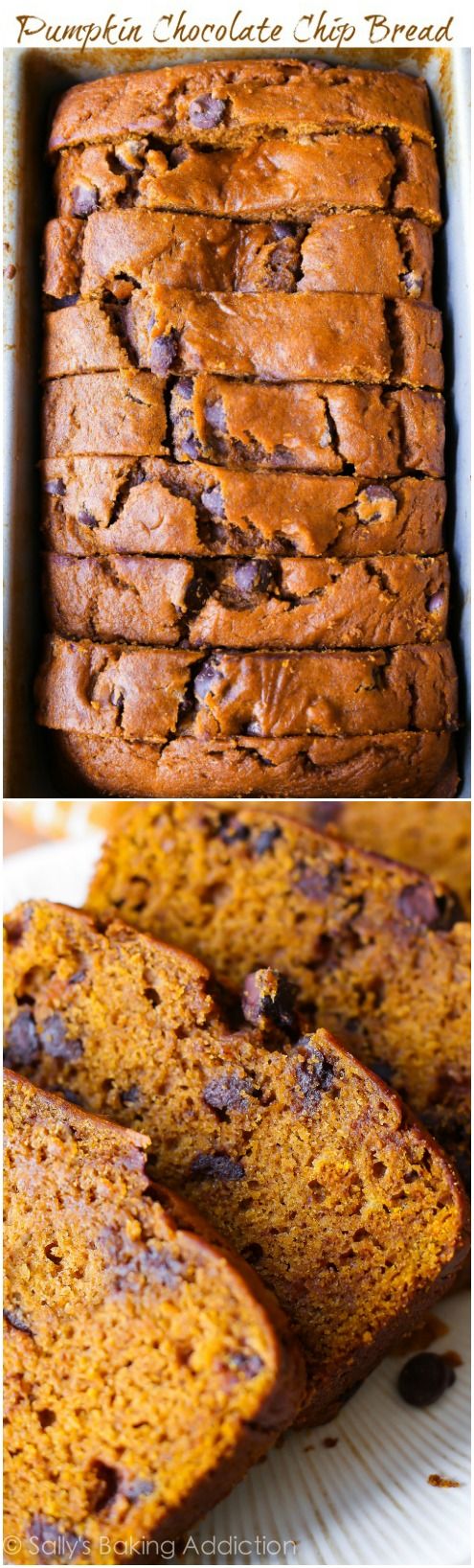 super moist pumpkin chocolate chip bread