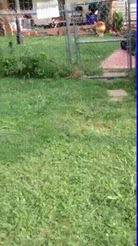 Didn't see that coming fail.